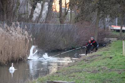 Veel bekijks in Arnhem voor zwaan met vishaak in de bek
