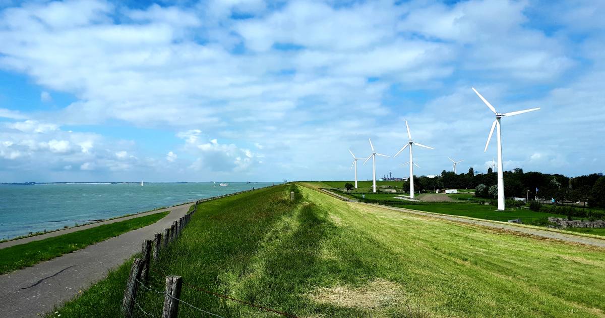 Deze zwakke Zeeuwse dijk wordt voor tientallen miljoenen euro’s met voorrang versterkt | Vlissingen