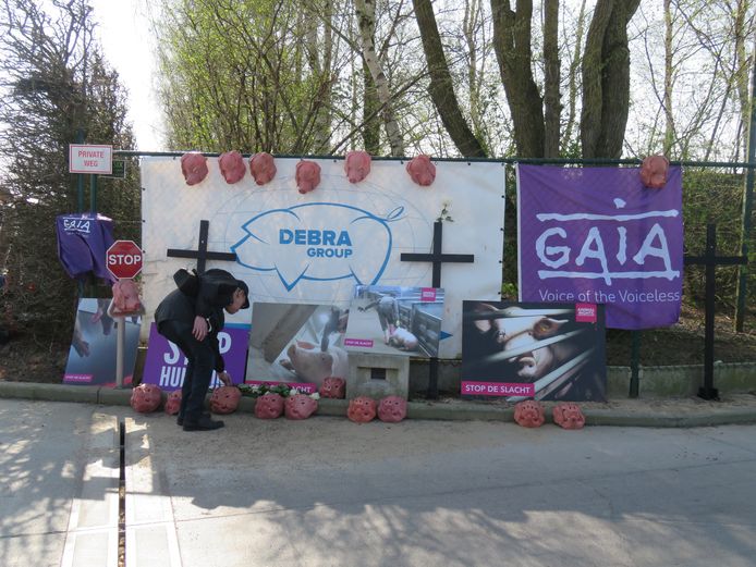 Protestactie aan Tielts slachthuis