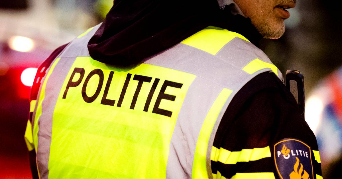 Politie zoekt twee vrouwen die hun hondjes uitlieten op de Bierkade in Oud-Beijerland op oudejaarsavond.