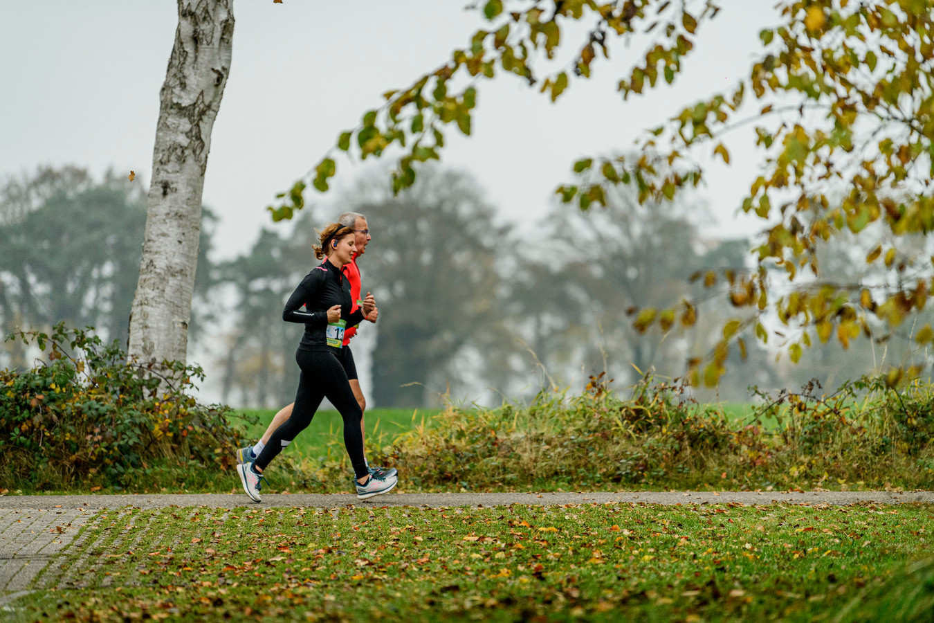 De Berkel-Loo loop voerde door prachtige natuur.