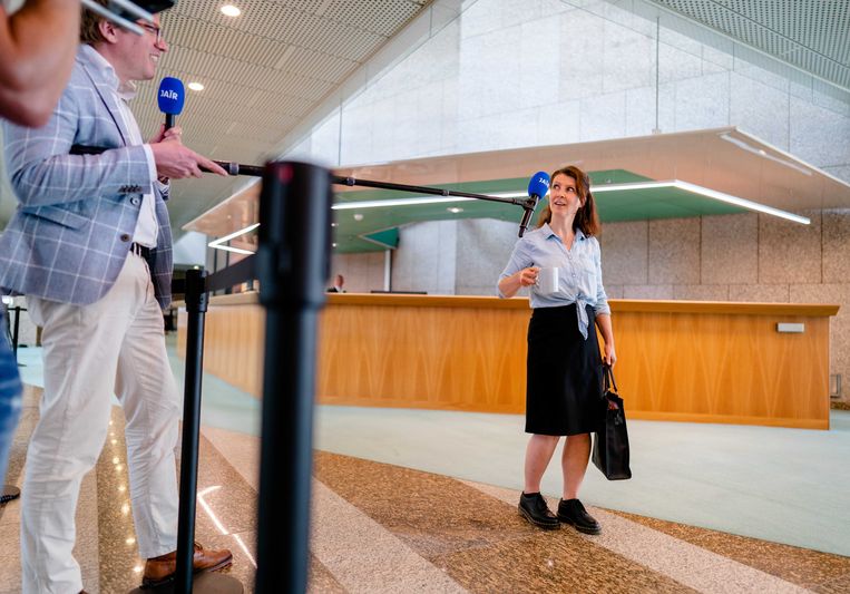 Esther Ouwehand (PvdD) tijdens het wekelijks vragenuur in de Tweede Kamer.  Beeld ANP
