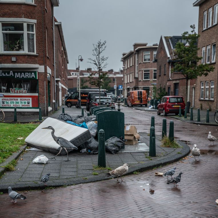 null Beeld Harry Cock