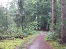 Natuurbegraven straks mogelijk in bos bij Soest