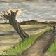 Scheve wilgen leveren meer biobrandstof
