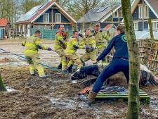 Wilma (49) belt brandweer om geliefde Tinky te redden: ‘Krijg paard van 800 kilo niet alleen omhoog’