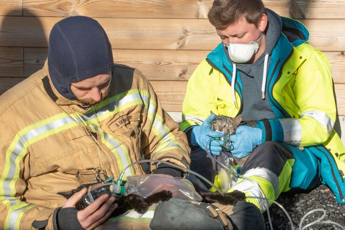 Een brandweerman en een ambulancier ontfermden zich over de twee katjes en hebben ze door zuurstof toe te dienen van de verstikkingsdood gered.