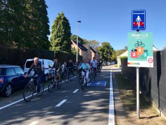 Zoersel scoort 6,7/10 op fietsrapport: “Nog veel werk aan de winkel”