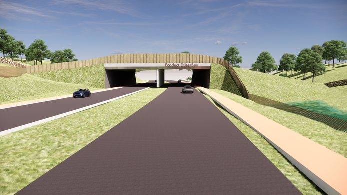 De ecoduct van Dilsen-Stokkem.