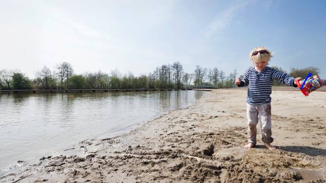 Zorgen over slecht zwemwater groeien bij provincie: ‘Mensen hebben recht op ontspanning’