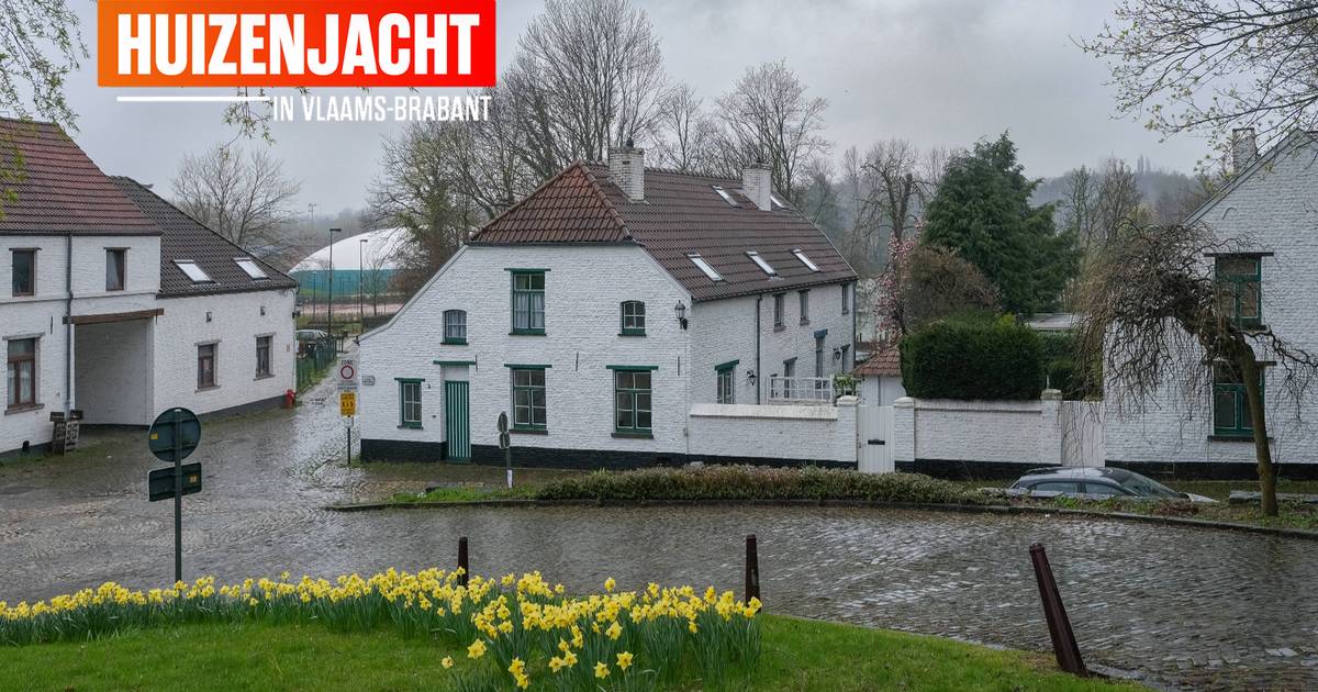 "Real Estate in Flanders A Look into the Housing Market of Kraainem