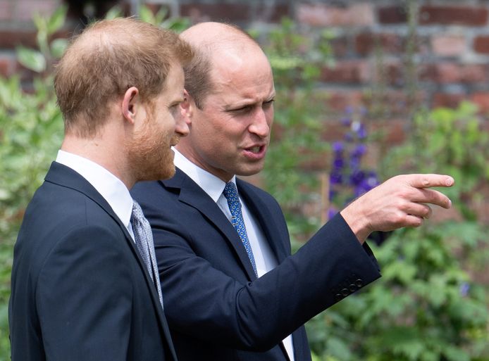 William en Harry zouden uitvoerig besproken worden in 'The Princes and the Press'.