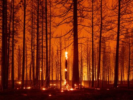 Branden in Californië laaien op door hitte, droogte en sterke wind