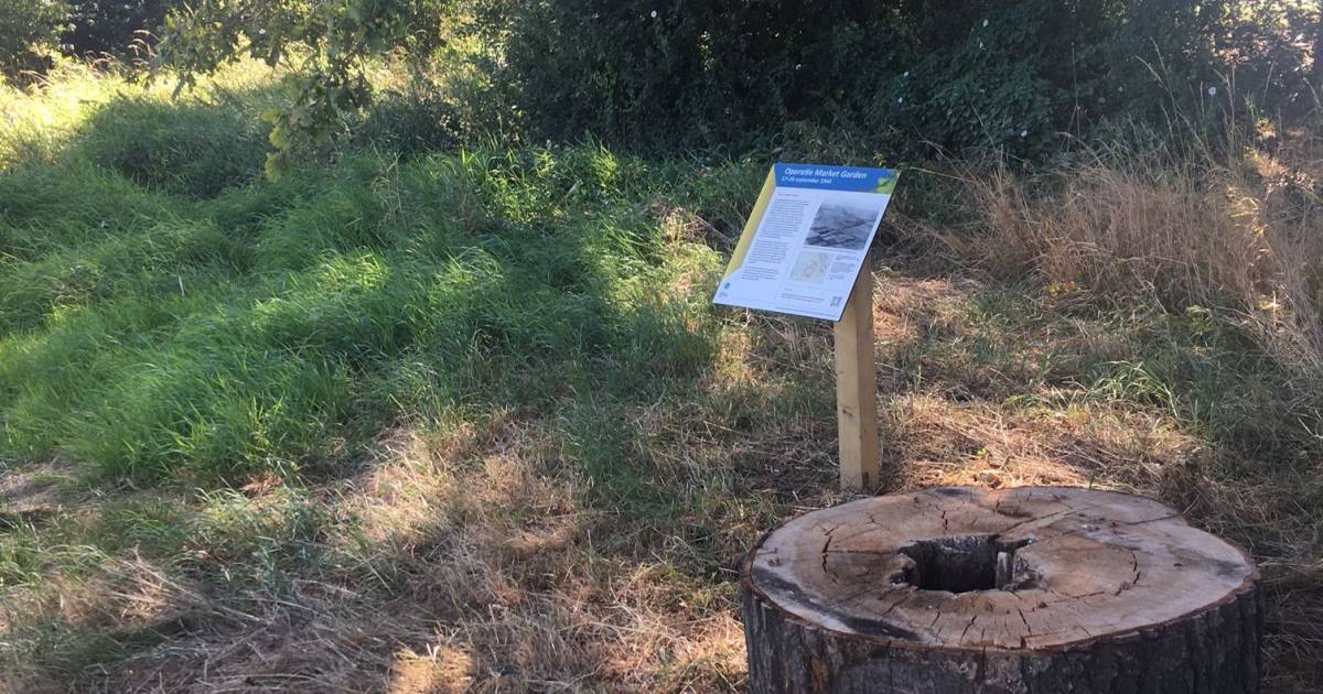 Infobord over oorlog in Overasselt is nu al verdwenen: 'Wie doet er nou zoiets'? - De Gelderlander