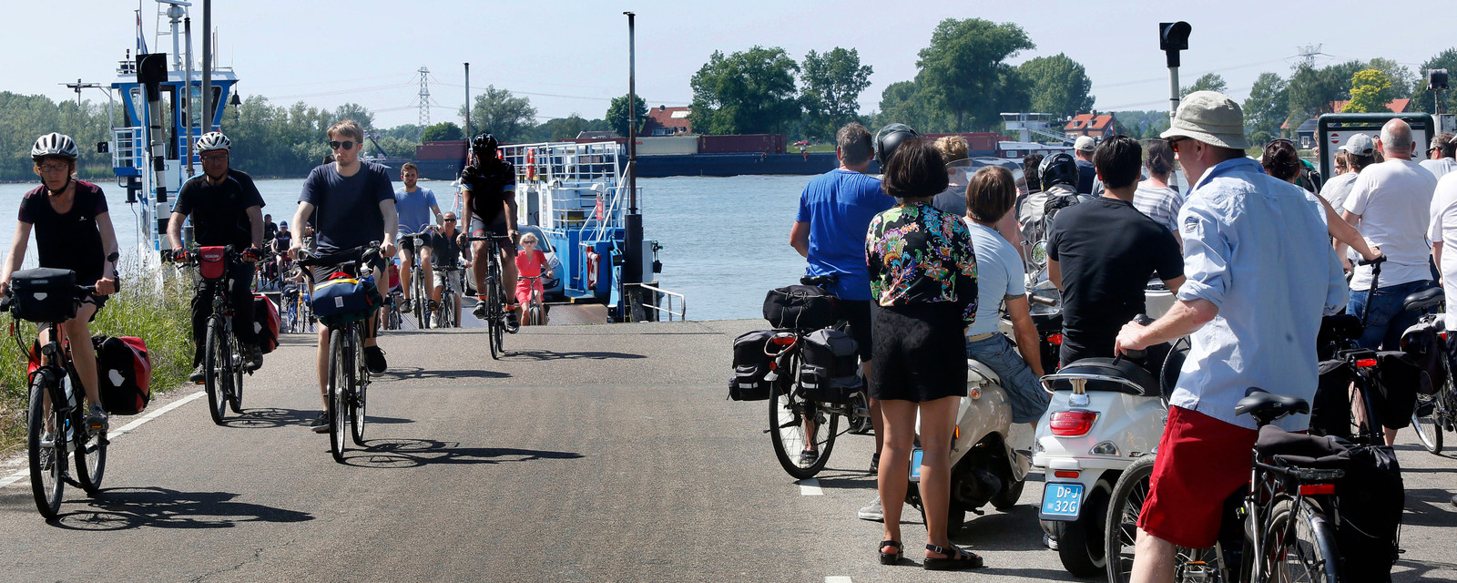 Zomerse blik op de Biesbosch Foto bndestem.nl