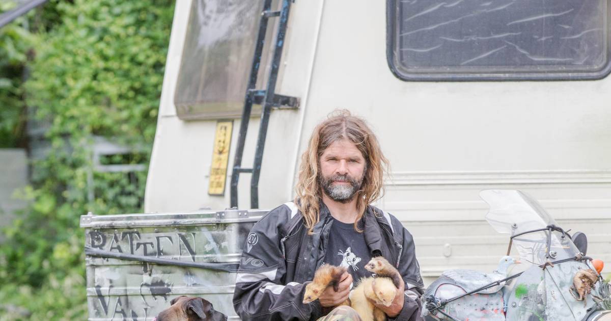 Rattenvanger Andor van der Ploeg: ‘Ik ben jaloers op dieren’