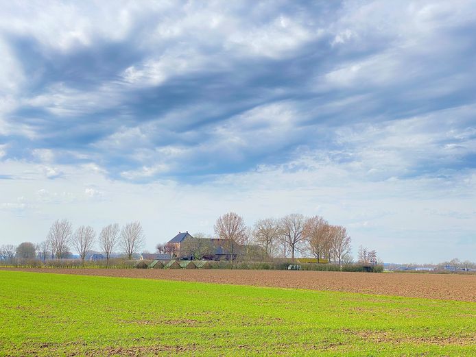 De Zeelandsche Hof, markante boerderij op een pol in Millingen, aan de grens met Duitsland