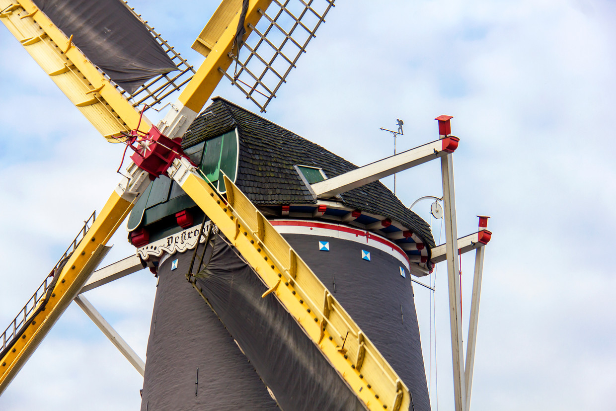 Korenmolen De Kroon maalt nog wekelijks. Beeld Sander Groen