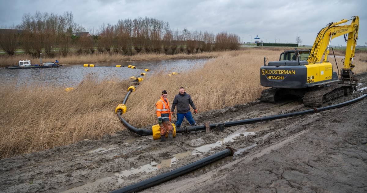 Sterrenrestaurant voor vogels en vissen door baggerwerk in kreek bij Aardenburg