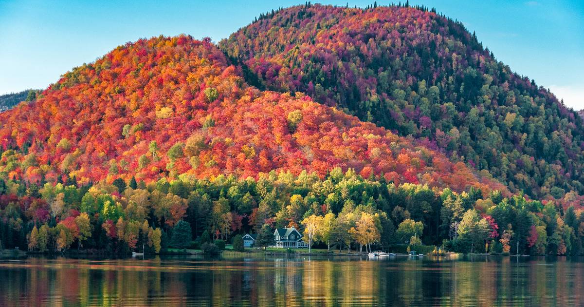 Four children killed while fishing in Canada: the tide washed them away |  outside