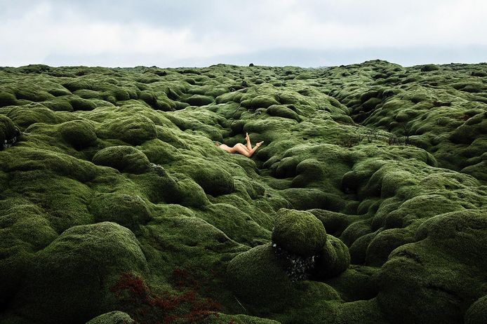 Marisa Papen: “Ik wilde dat de foto’s zouden tonen hoe krachtig, groots en grotesk de natuur is.”