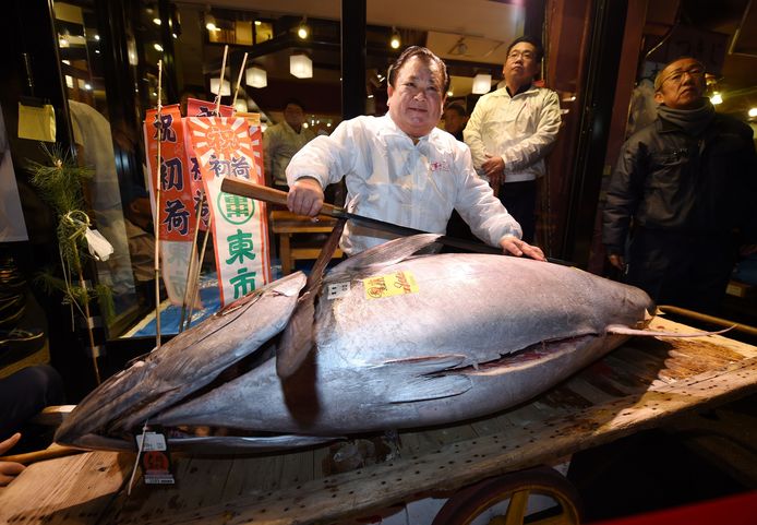 Kiyoshi Kimura, eigenaar van een grote sushiketen, won de voorbije zes jaar de nieuwjaarsveiling. In 2013 telde hij een recordbedrag van 1,3 miljoen euro neer. Dit jaar poseerde hij met een tonijn van 190 kg, niet de winnaar, maar toch ook niet slecht.