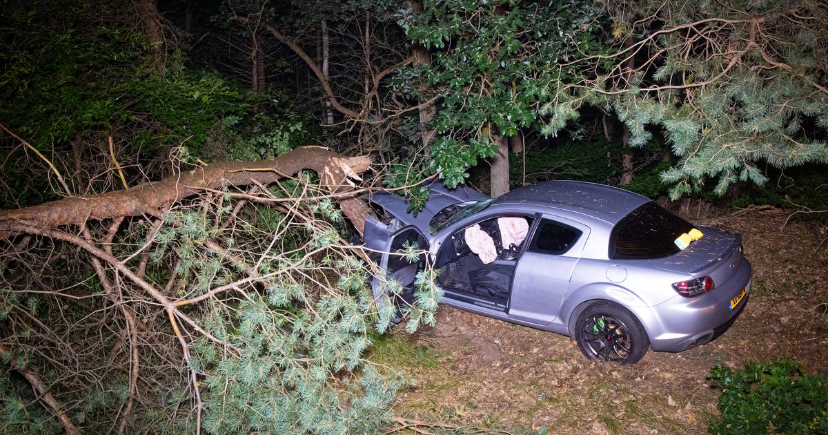 File op A28 bij Harderwijk na eenzijdig ongeval: auto velt boom, bestuurder ernstig gewond.