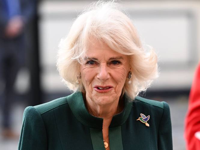 Camilla en Charles zorgen voor nieuwe wind aan Britse hof: hofdames vervangen door beste vriendinnen