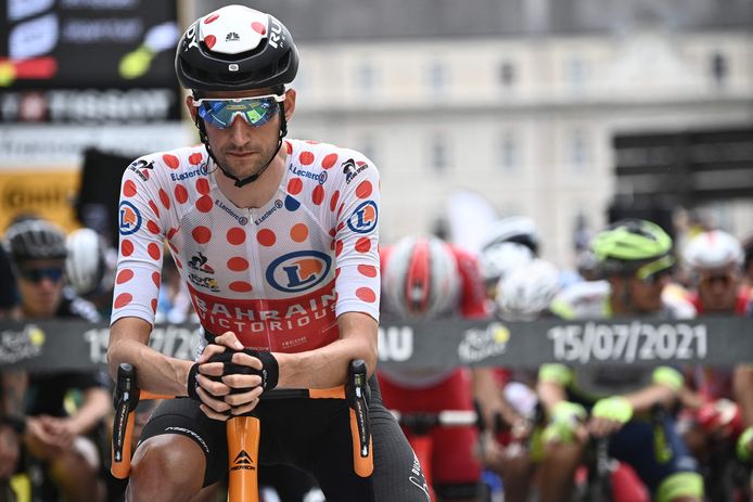 Wout Poels