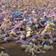 Hoe Pokémon in uw buurt terechtkomen (filmpje)
