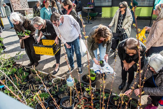 Bij de tuinplantenkringloop kunnen mensen afgeschreven planten brengen en ook weer gratis tuinplanten ophalen.