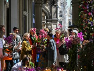 Honderden Milanezen krijgen orchidee cadeau: ‘Fijn dat de planten een tweede leven krijgen’