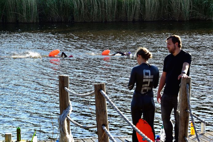 Open water training van zwemvereniging Hieronymus. Coach Paul Koster houdt vanaf de steiger bij Gastel Sfeer toezicht.