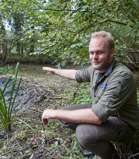 Beverdam als oplossing voor extreme droogte? Op Vordens landgoed wel: ‘Het barst hier van het leven’

