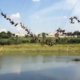 Video | Zou jij het durven?