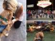 Honden helpen slachtoffers van de schietpartij de tragedie te verwerken