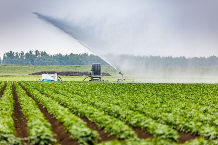 de-lente-was-lang-niet-nat-genoeg-waterschap-grijpt-in-om-waterpeil-te