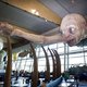 Verkoop online te vroeg: wachtende Hobbit-fans grijpen naast kaartje
