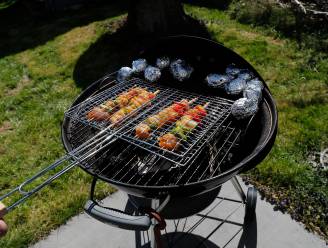 Barbecue gestolen uit tuin in Bergmolenstraat