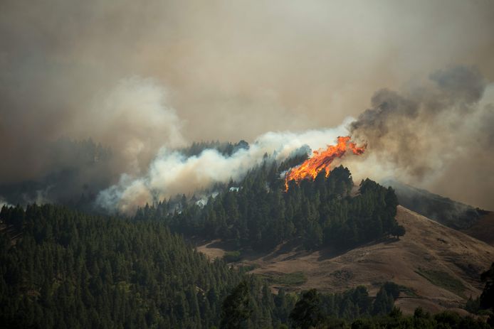 Vlammen van tientallen meters in de bossen bij Montaña Alta.