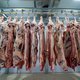 Op dierenmishandeling betrapt slachthuis mag weer open, ‘slachttempo’ gaat omlaag