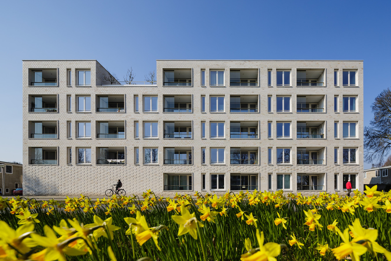 Bijna alle grote bouwplannen in race voor architectuurprijs Eindhoven