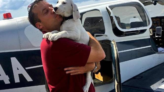 Maak kennis met piloot Paul, die enkel en alleen maar opstijgt om zoveel mogelijk viervoeters te kunnen redden