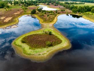 Everglades in Florida? Nee, dit magische plekje vind je gewoon in Twente (+ 14 andere tips)