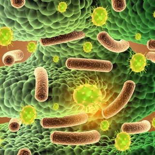 NATO fund invests millions in Amsterdam biotech company that developed infection-fighting method