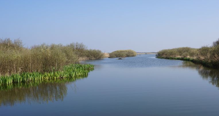 null Beeld Shutterstock/Dafinchi
