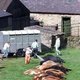 Voedselagentschap schiet wakker na Brits geval van mond- en klauwzeer