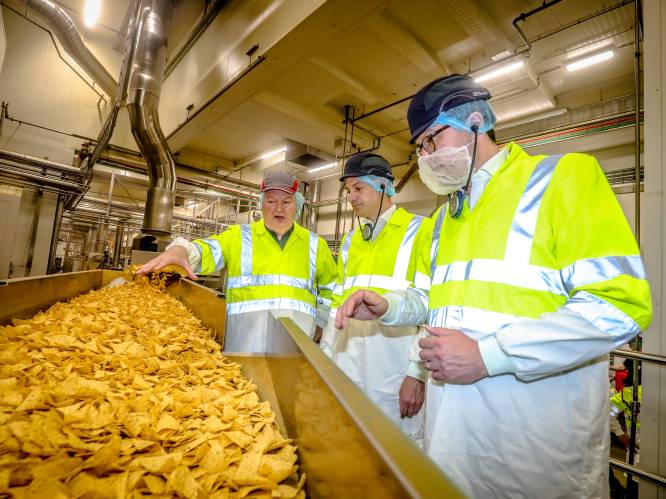 Chipsfabrikant Pepsico investeert 200 miljoen euro in uitbreiding: “Er rollen hier dagelijks 2 miljoen zakken chips van de band en dat is niet genoeg”