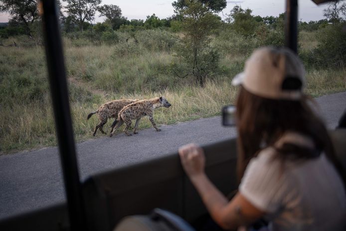 De drie toeristen die beschoten werden, bevonden zich in de buurt van het Kruger National Park, foto ter illustratie.