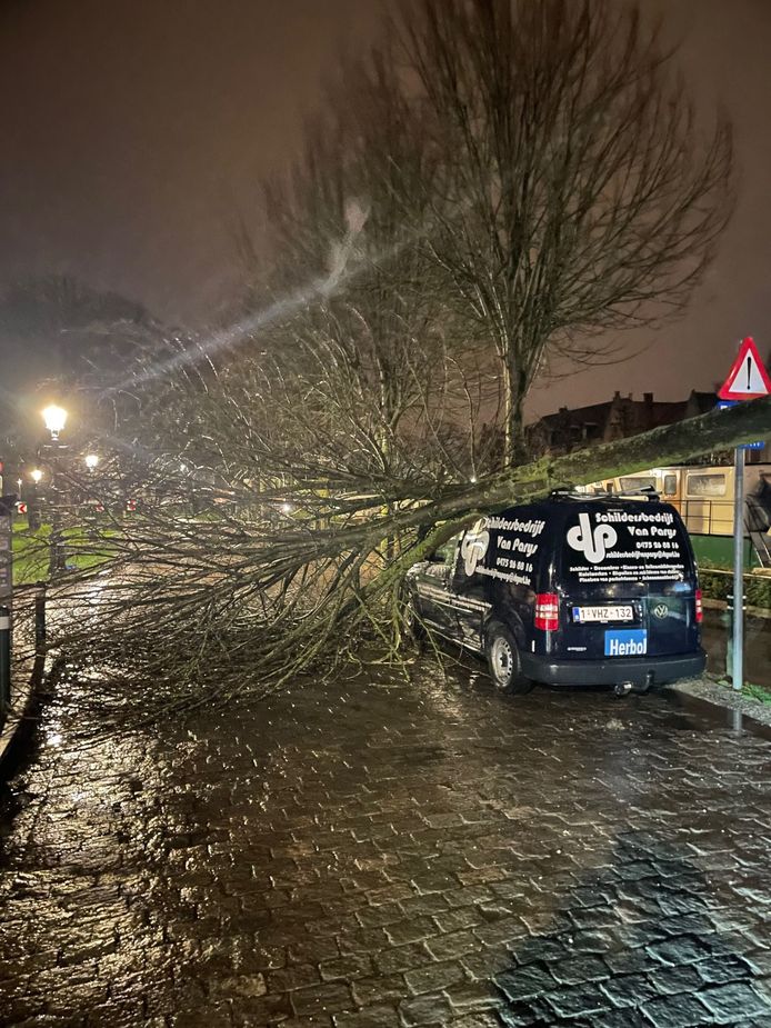 Langs de Predikherenrei is een boom op een geparkeerde auto van Schildersbedrijf Van Parys gevallen.